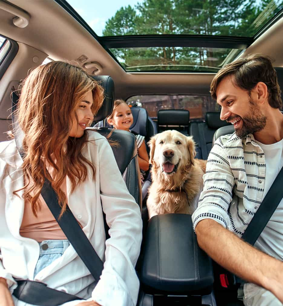 Young family in car with baby and dog