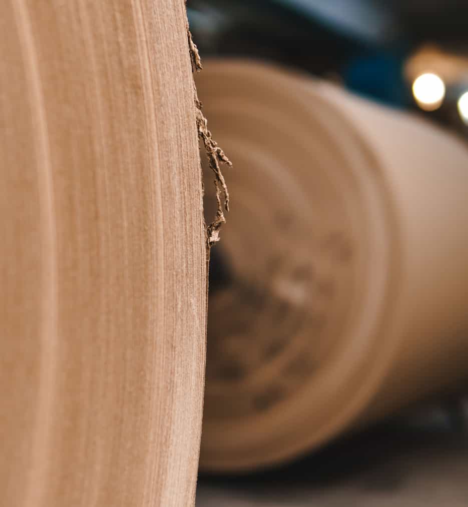 Paper mill. Roll of paper.