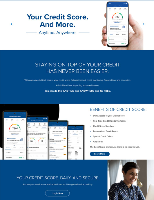 Image of Savvy marketing materials